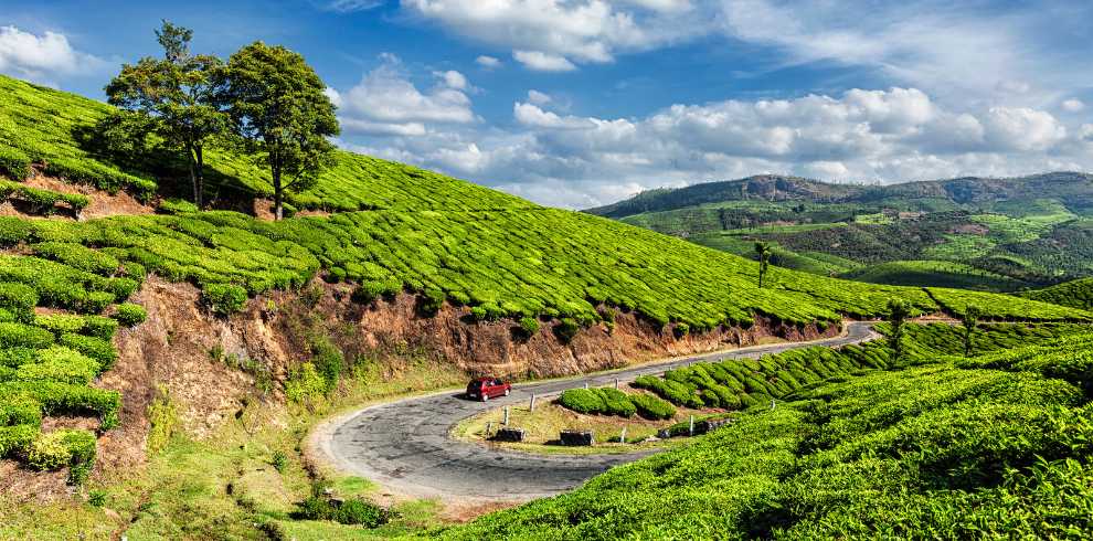 Kerala Honeymoon Package